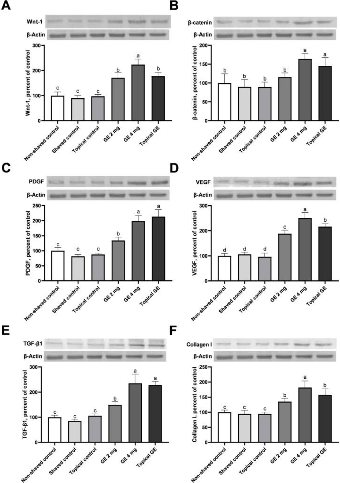 Garlic exosome effects on skin proteins were studied.